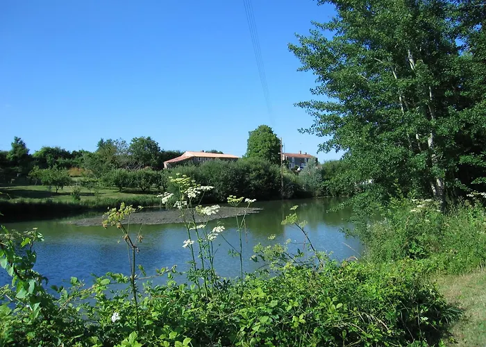 Peony - The Good Life In France *